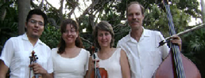 quartet of musicians